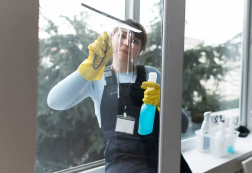Nettoyage de vitres intérieures et extérieures à Vonges